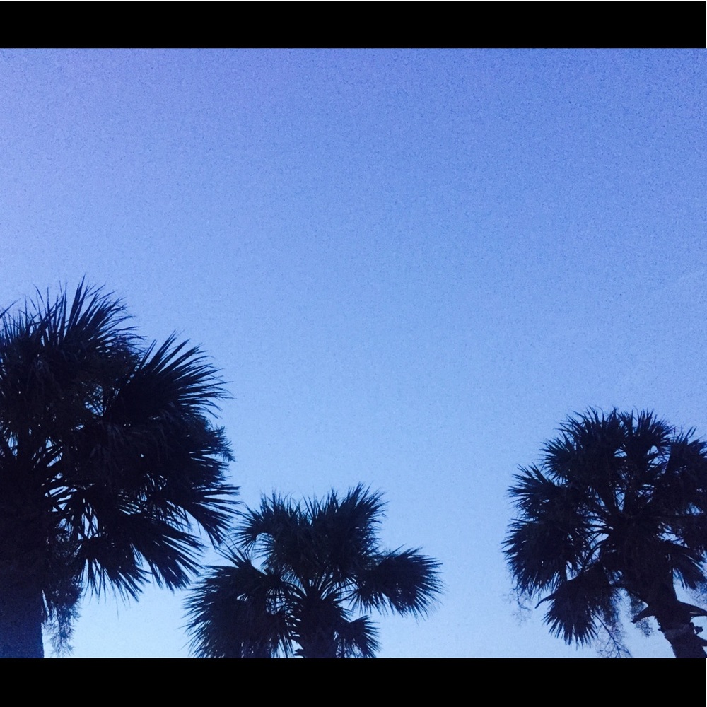 Meet your Posher, Alyx